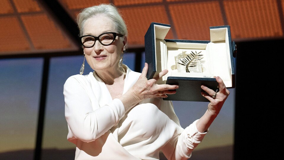6d13d0a0f855 meryl1 t