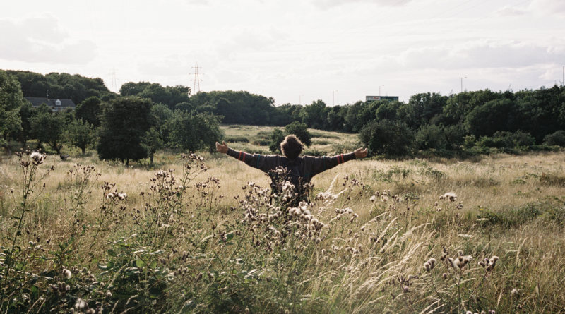 Imagen de la película Bird, de Andrea Arnold