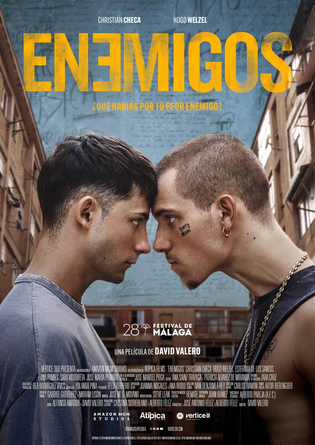 Poster de la película Enemigos