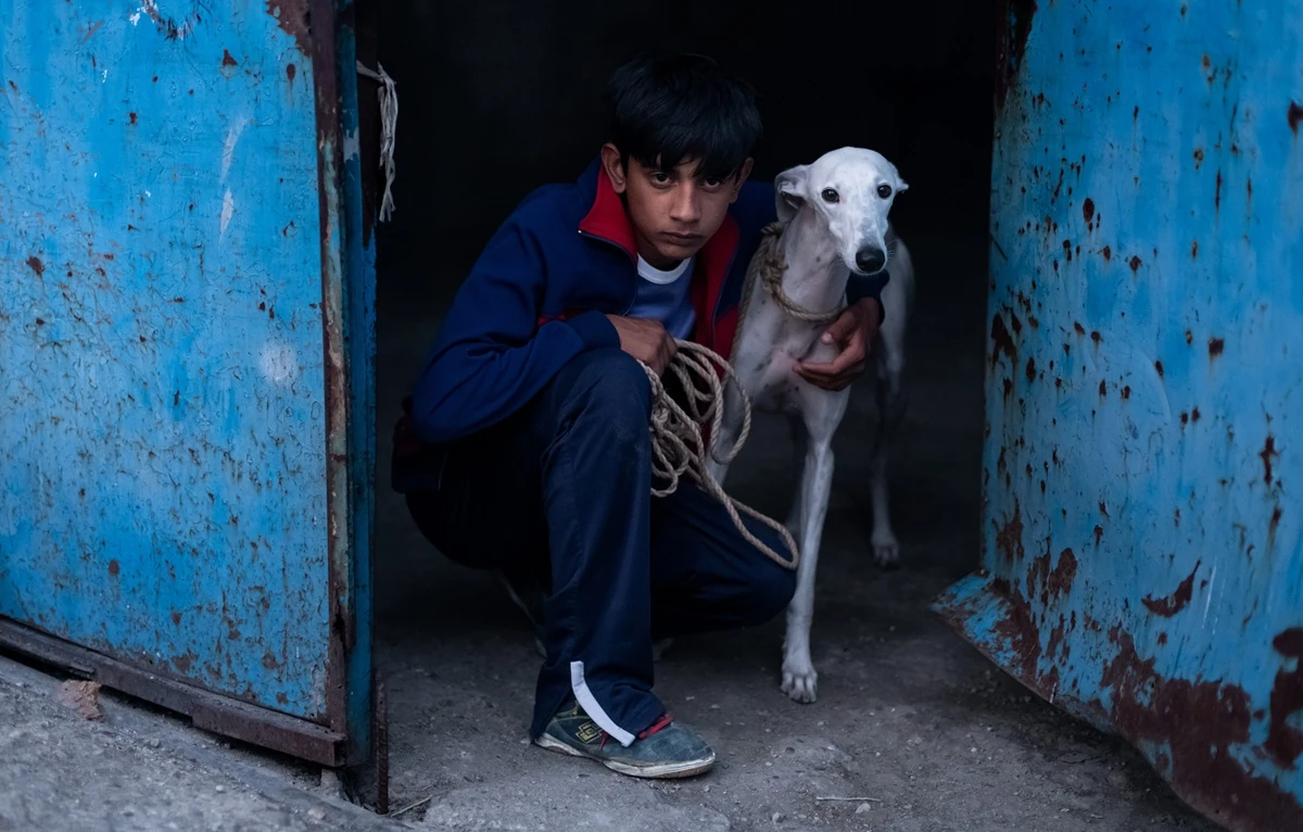 La película 'Ciudad Sin Sueño', de Guillermo Galoe, debuta hoy en Cannes y y ya puedes ver el tráiler. 2 ciudad sin sueno 2025 cannes