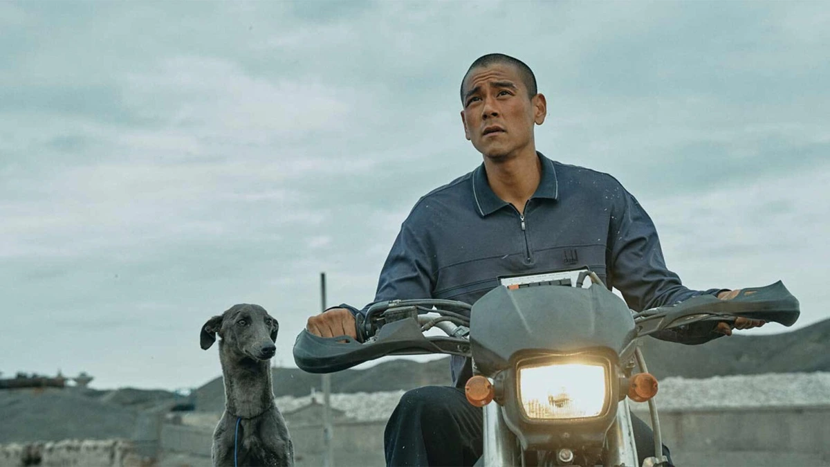 black dog estreno