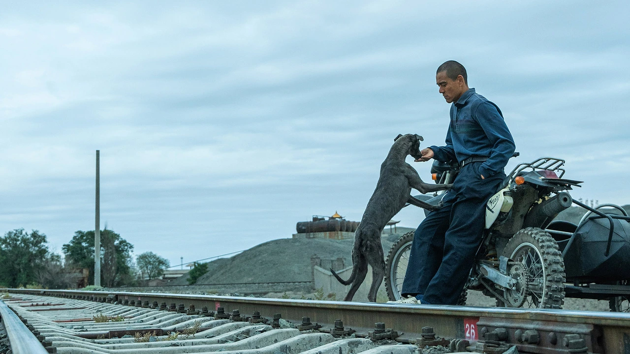 ¡Los estrenos destacados del mes de julio 2025 en España! 4 black dog