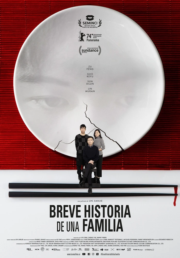 breve historia de una familia poster
