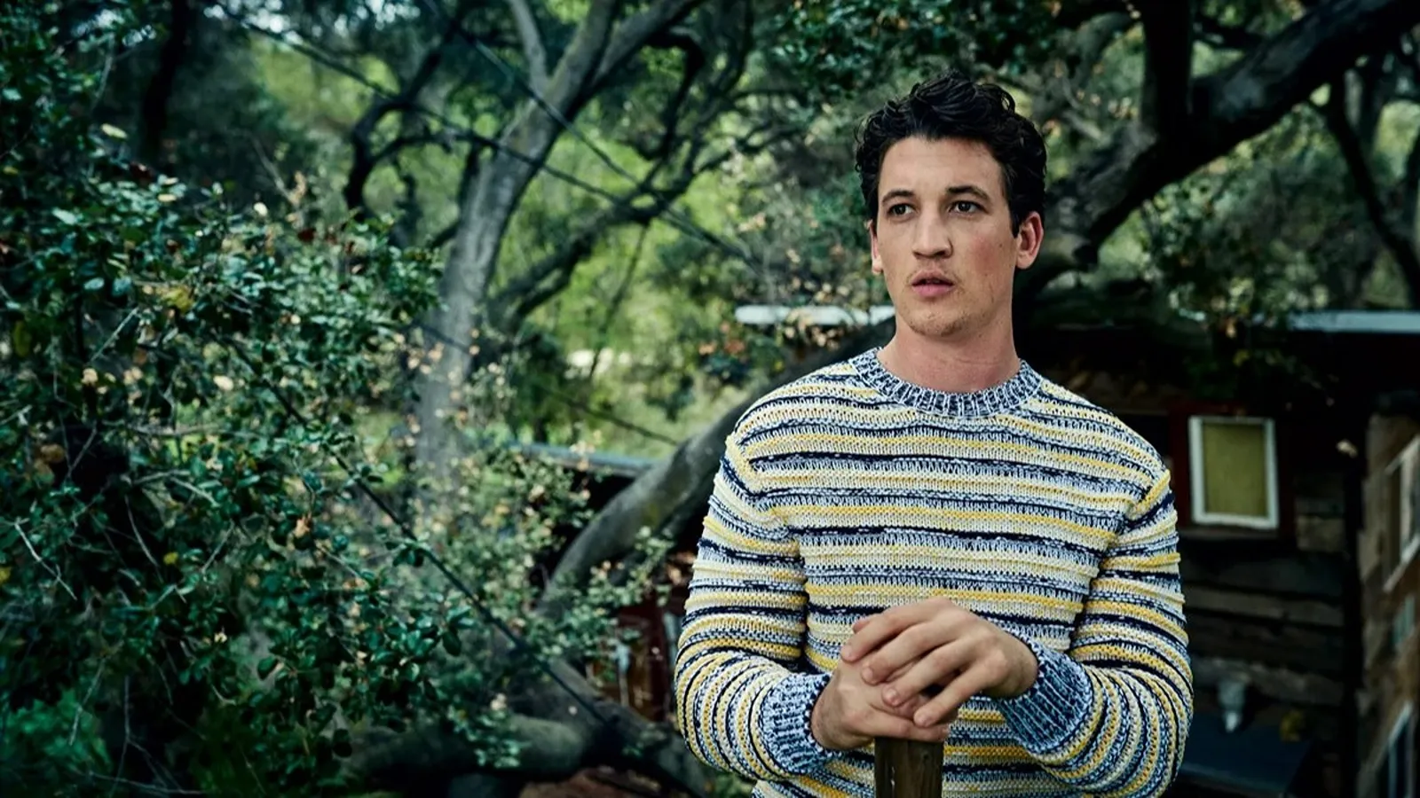 El actor Miles Teller con un suéter de rayas amarillas y azules en un entorno boscoso.