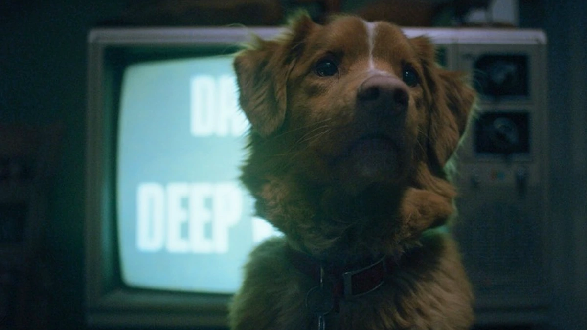 'Good Boy', la viral película de terror desde el punto de vista de un perro que ve a su dueño acechado por entes sobrenaturales, estrena tráiler. 2 mundoCine - good boy 2025 pelicula