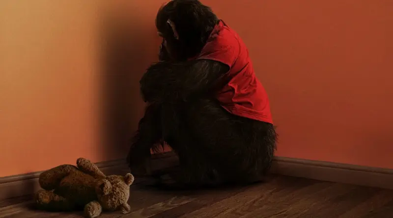 Imagen de la película Primate