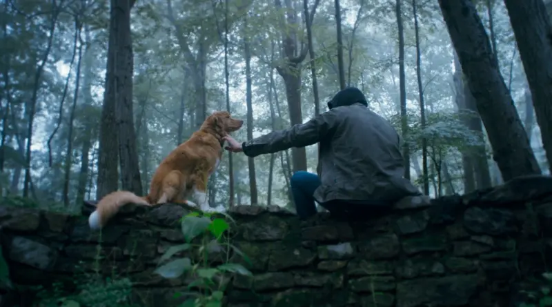 Imagen de la película Good Boy