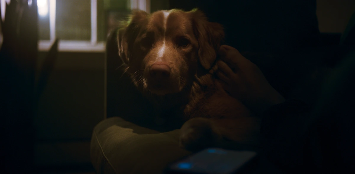 Crítica de 'Good Boy': El Daniel Day-Lewis de los perros. 4 mundoCine - good boy 2025 estreno
