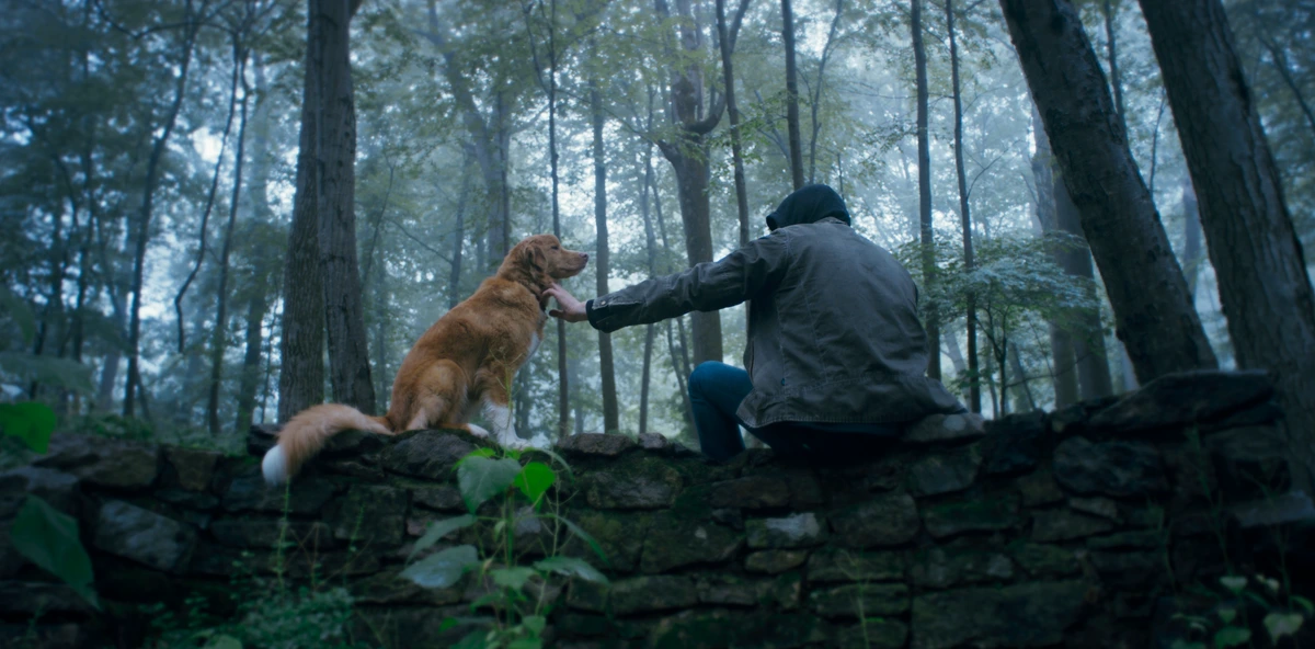 Crítica de 'Good Boy': El Daniel Day-Lewis de los perros. 5 mundoCine - good boy 2025