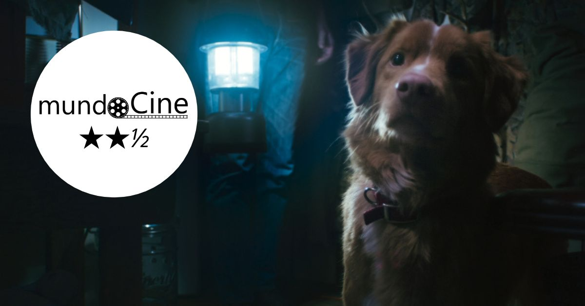 Crítica y público opinan sobre la viral 'Good Boy', que muchos comparan con 'Agallas, el Perro Cobarde', y que se estrena hoy en cines. 5 mundoCine - que mundocine de good boy 2025 pelicula