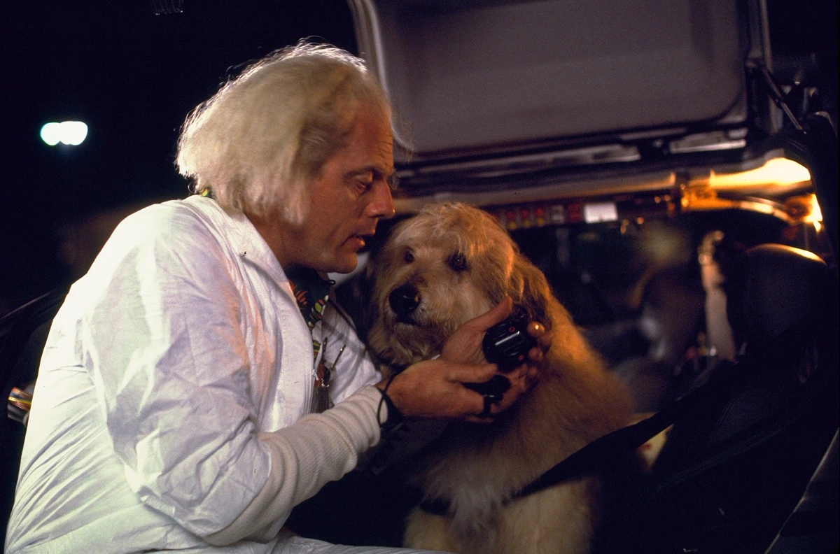 'Regreso al Futuro' celebra su 40 aniversario en cines y estas 10 curiosidades son casi imposibles de creer. 11 mundoCine - regreso al futuro einstein