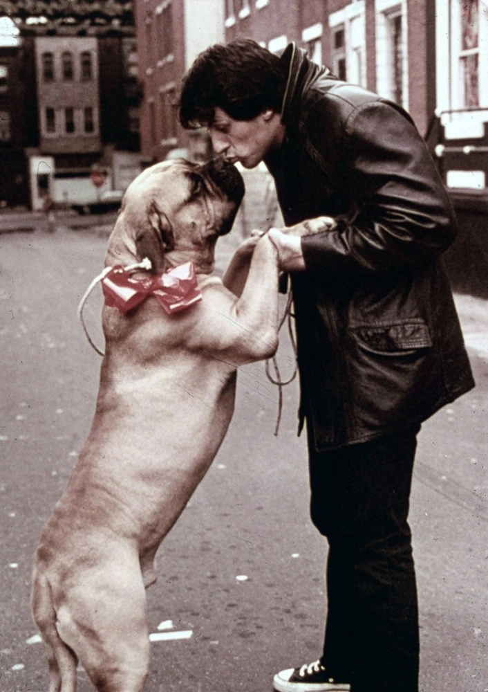 Pestañea y verás al joven Sylvester Stallone, pero en realidad es Anthony Ippolito en 'I Play Rocky', la película que recuerda cómo el actor se negó a tirar la toalla. 4 mundoCine - sylvester stallone perro