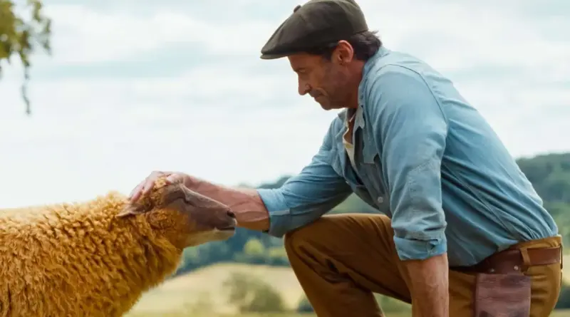 Hugh Jackman interpretando al pastor George acariciando a una de sus ovejas en un campo verde, de la película Las ovejas detectives.