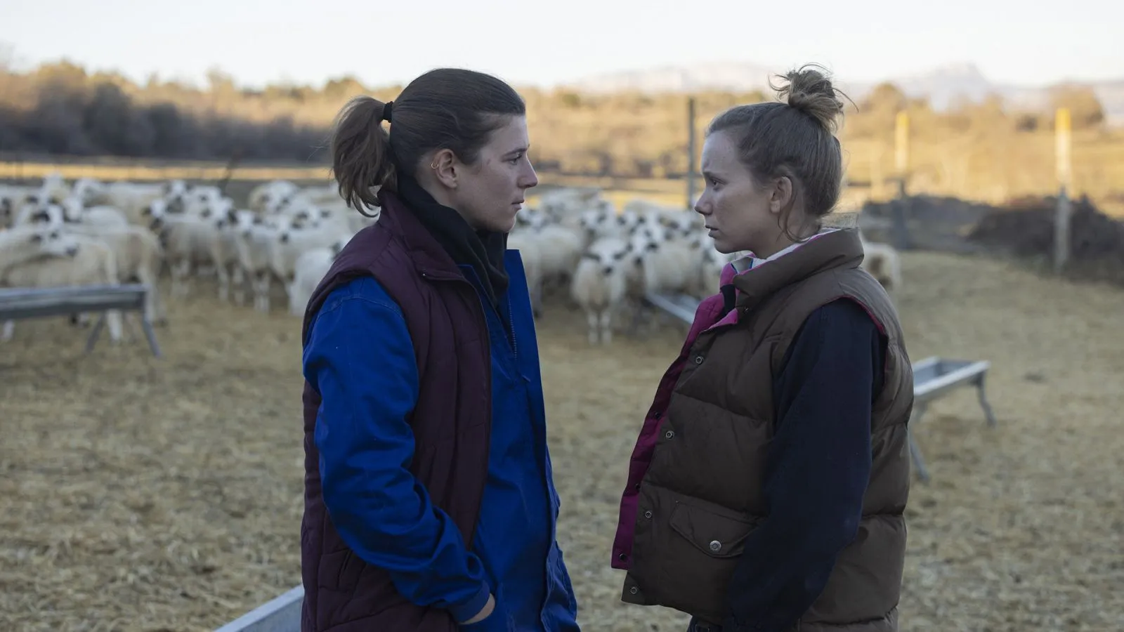 Fotografía de la película Lo que queda de ti que muestra a dos mujeres jóvenes, Ángela Cervantes y Laia Manzanares, frente a frente en un campo exterior durante el atardecer. Ambas visten ropa de trabajo agrícola con chalecos acolchados (uno granate y otro marrón) y mantienen una expresión seria y de confrontación silenciosa. Al fondo se observa un rebaño de ovejas blancas en un cercado bajo un cielo despejado.