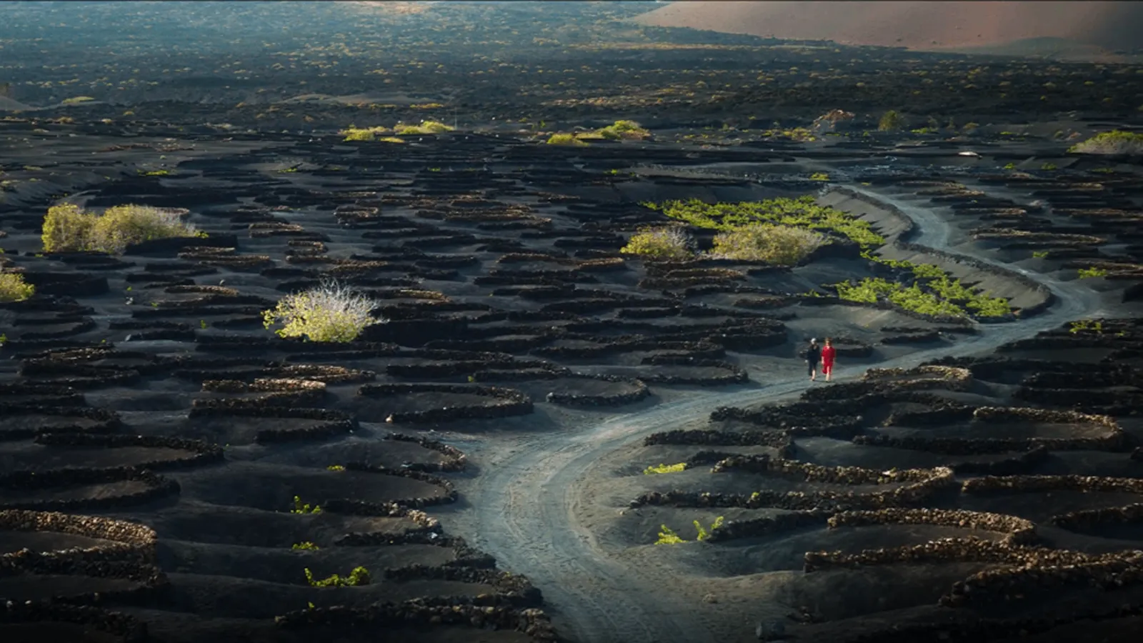 'Amarga Navidad' lanza un tráiler que demuestra por qué Pedro Almodóvar es el maestro del melodrama español. 3 mundoCine - amarga navidad lanzarote 1