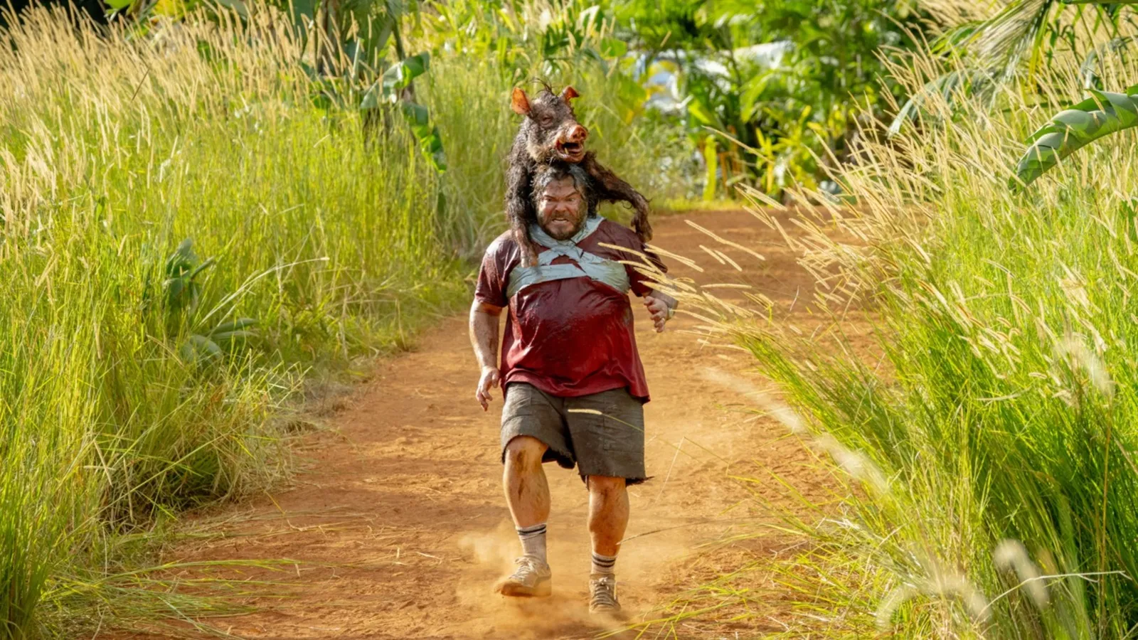 mundoCine - anaconda 2025