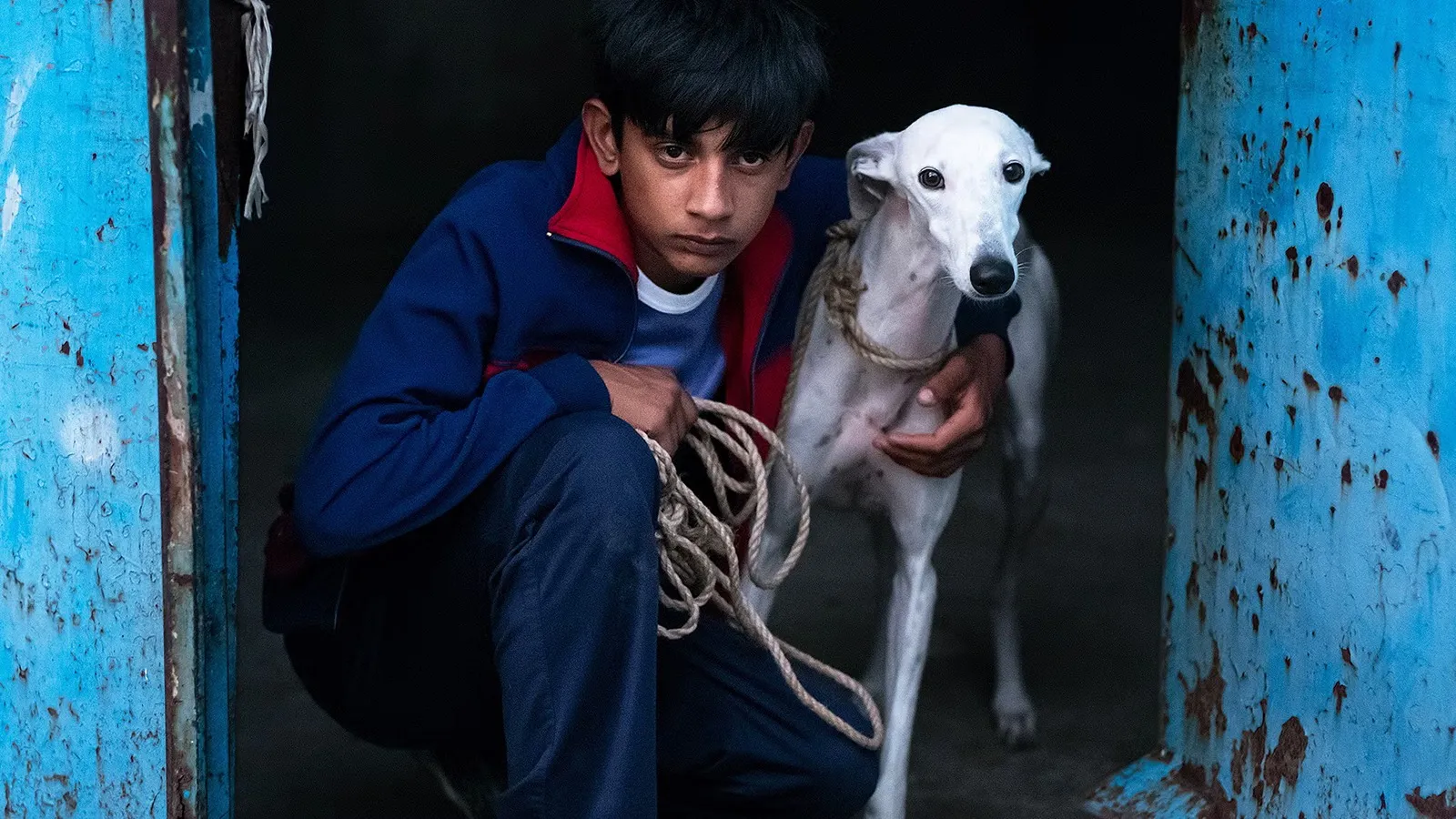 mundoCine - ciudad sin sueno goya 2026