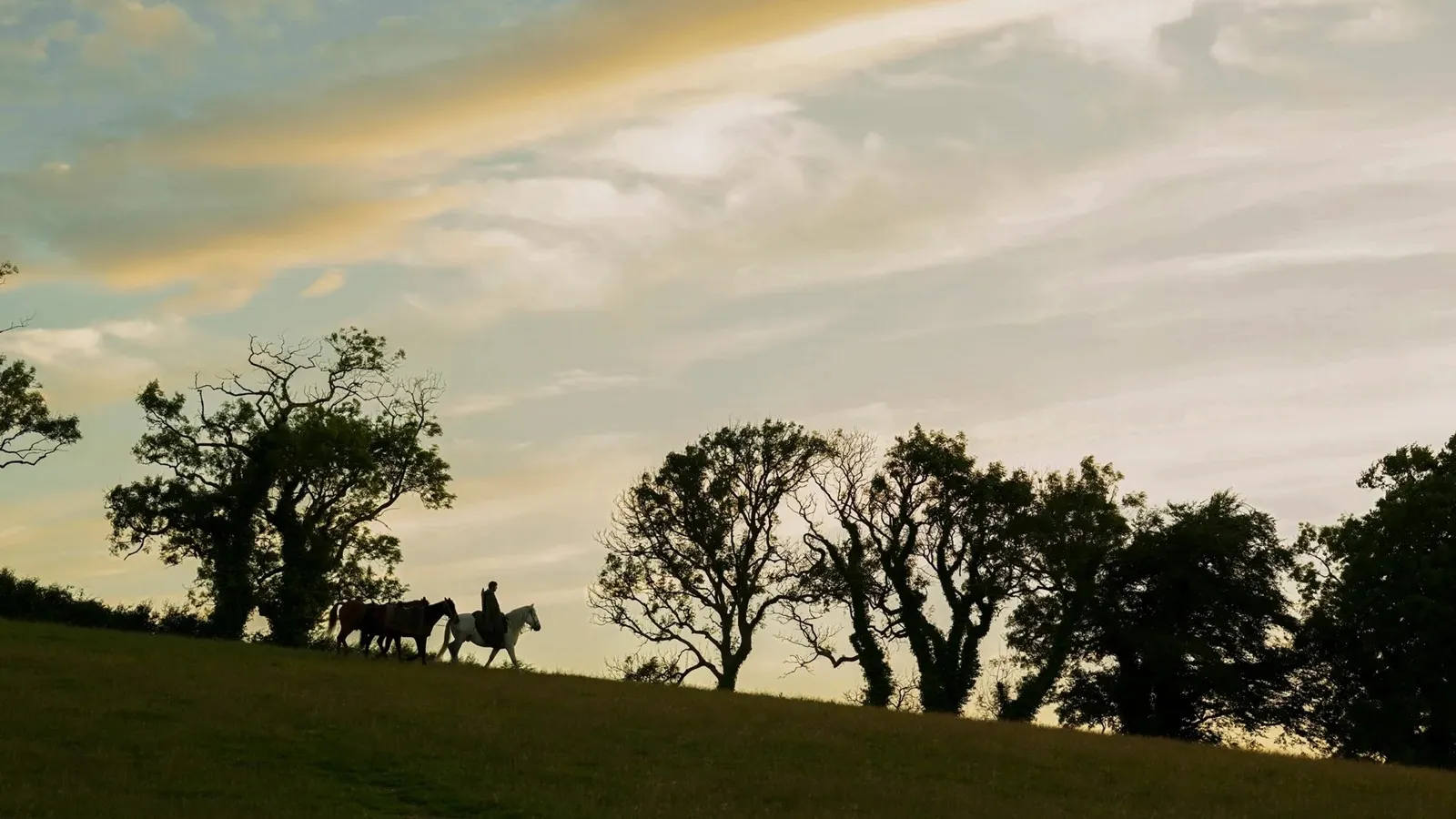 Crítica de 'El caballero de los Siete Reinos': La serie de 'Juego de Tronos' que te atrapará con la picaresca de unos personajes en el Poniente más realista. 5 mundoCine - el caballero de los siete reinos 2026