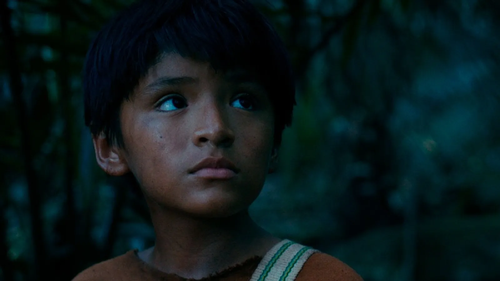 El Festival de Málaga 2026 inaugurará su 29.ª edición con la película 'Calle Málaga', de Maryam Touzani. 7 mundoCine - el corazon del lobo