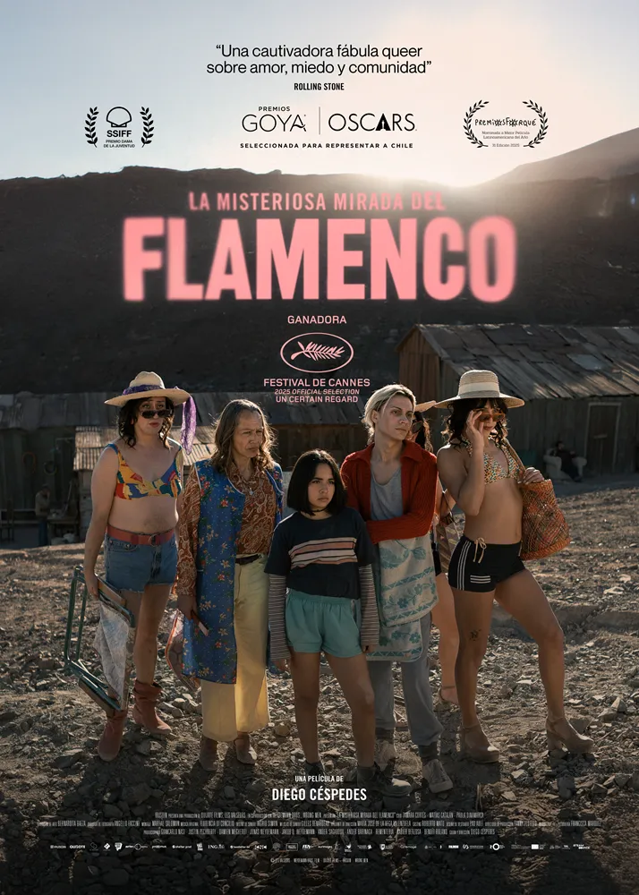 mundoCine - la misteriosa mirada del flamenco pelicula poster