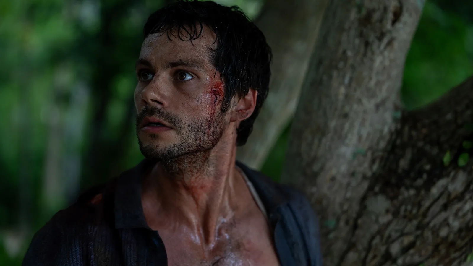 mundoCine - send help enviad ayuda 2026