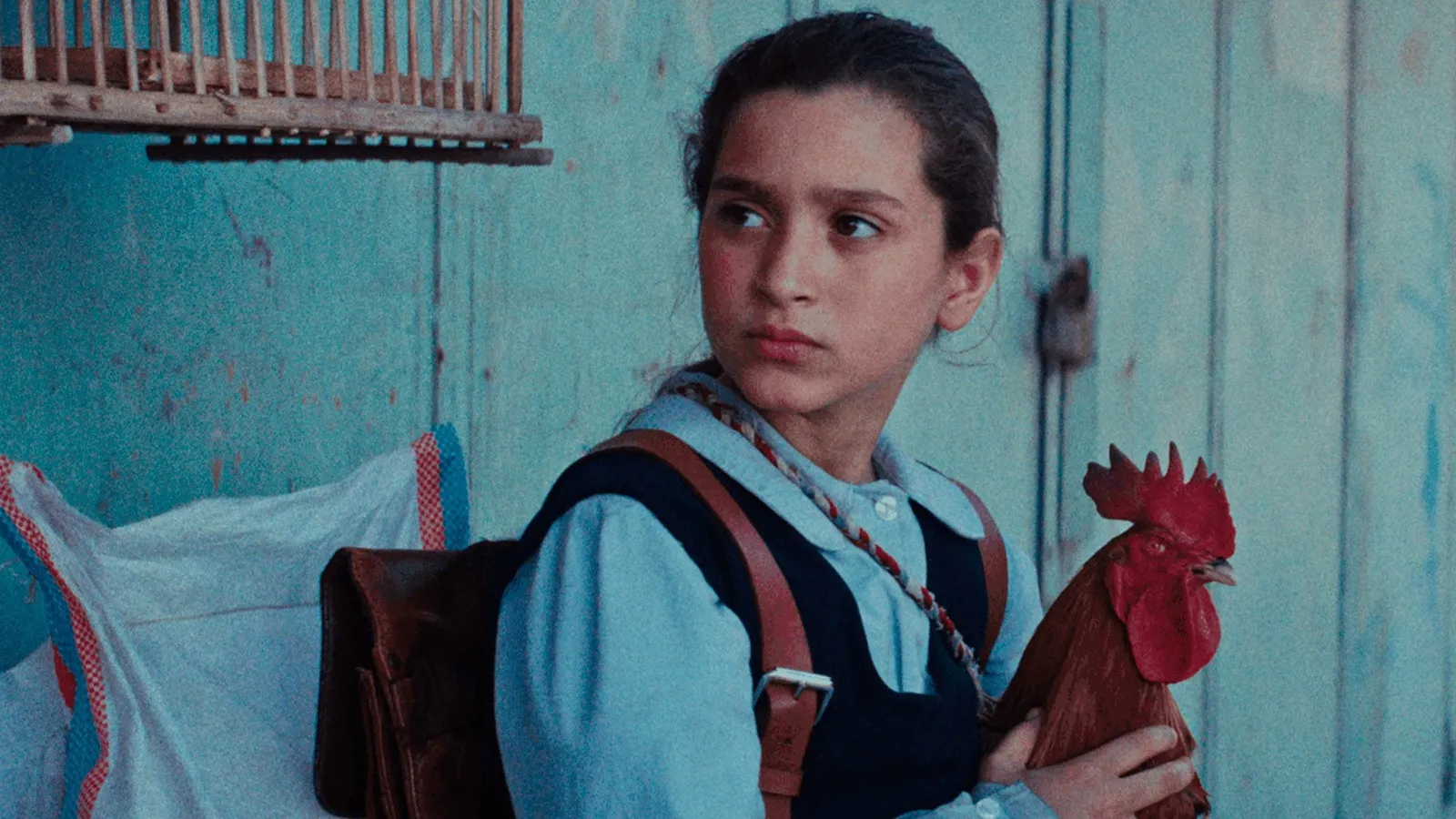 mundoCine - la tarta del presidente estreno cines