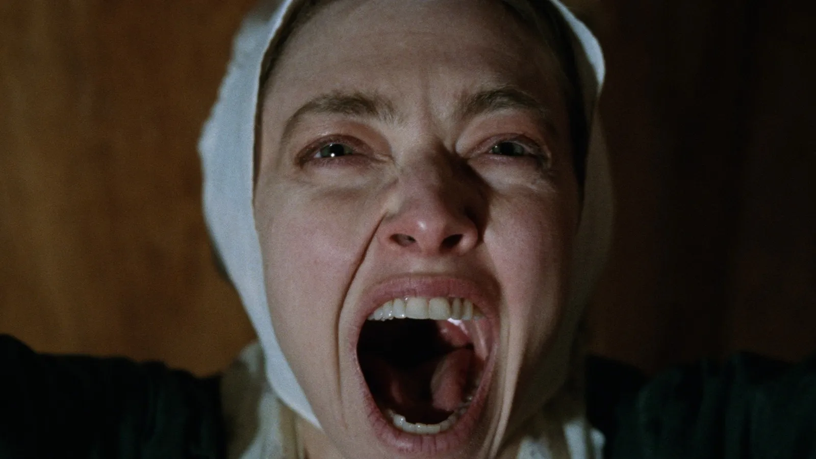 Mundocine - El Testamento De Ann Lee Amanda Seyfried