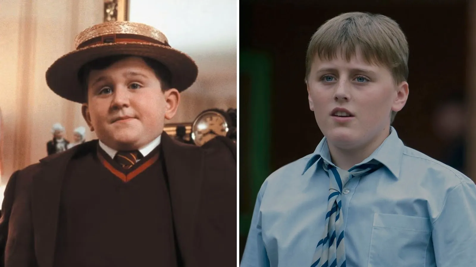 El nuevo reparto de la serie 'Harry Potter' frente a los actores de las películas: de Daniel Radcliffe a Dominic McLaughlin. 13 Mundocine - Harry Potter Reparto Peliculas Vs Serie Dudley