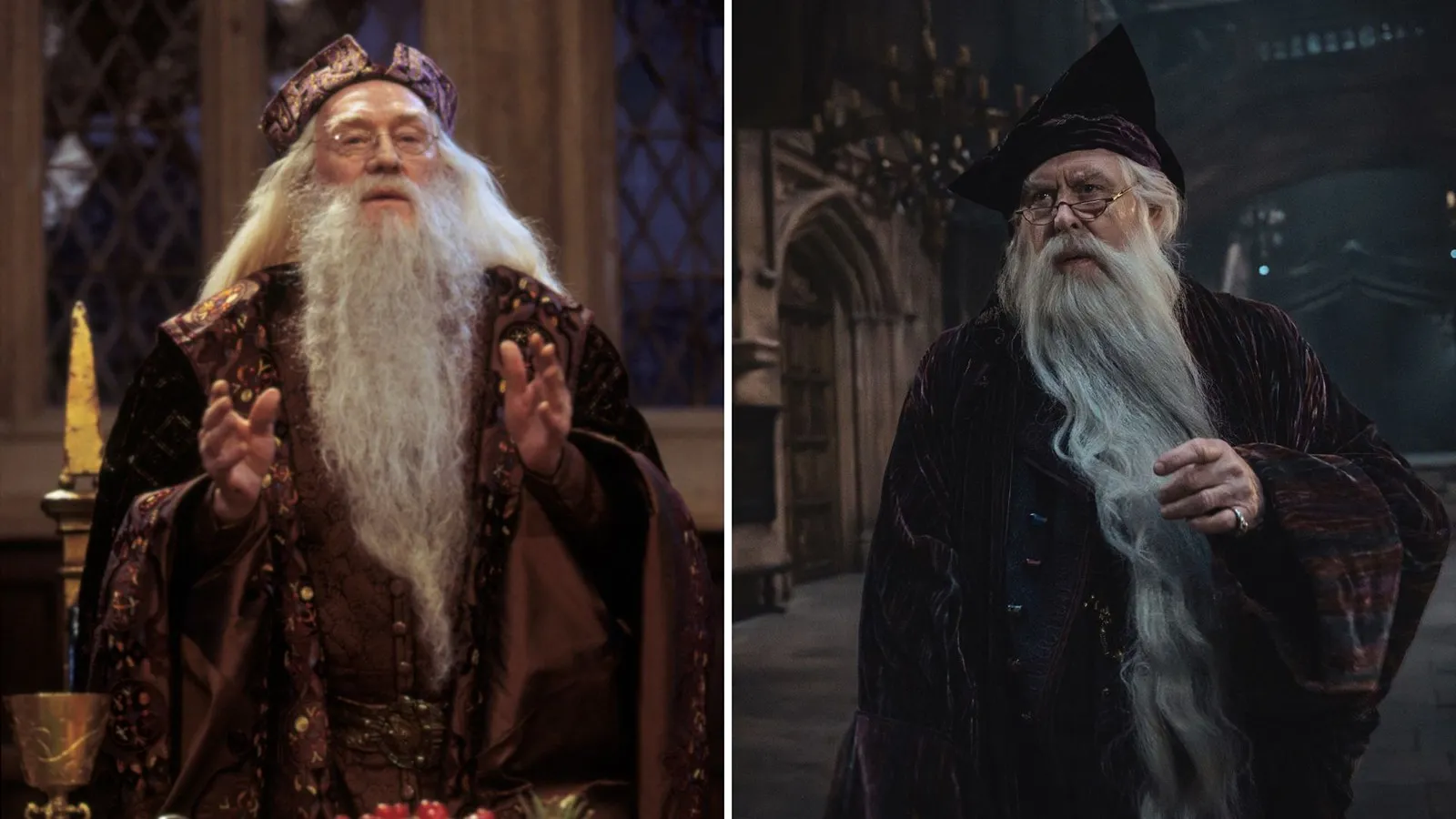 El nuevo reparto de la serie 'Harry Potter' frente a los actores de las películas: de Daniel Radcliffe a Dominic McLaughlin. 7 Mundocine - Harry Potter Reparto Peliculas Vs Serie Dumbledore