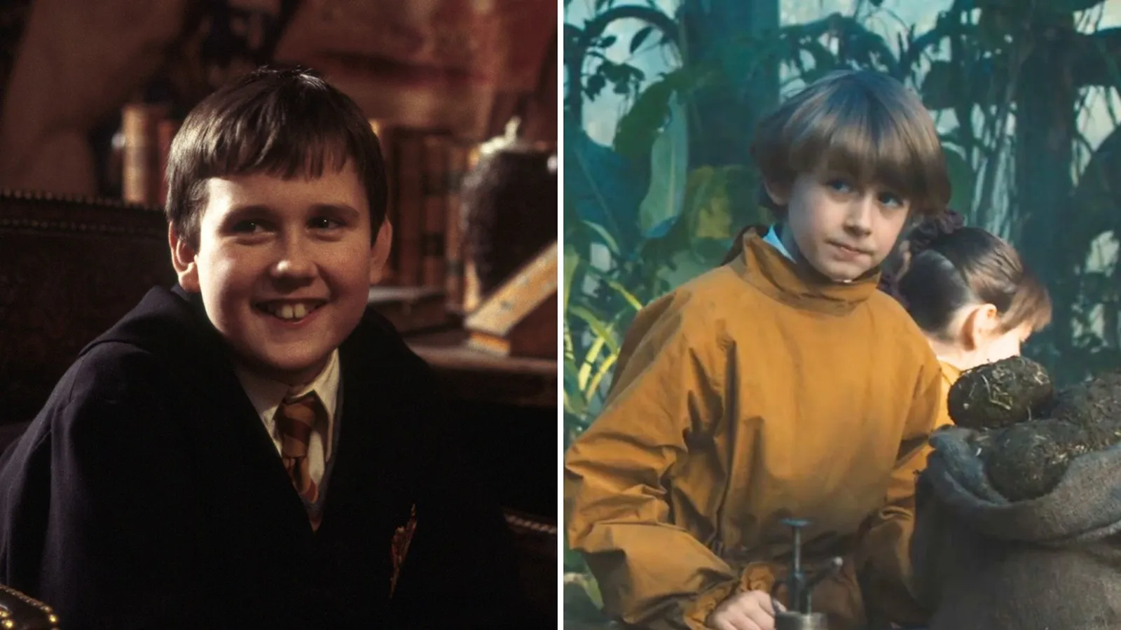 El nuevo reparto de la serie 'Harry Potter' frente a los actores de las películas: de Daniel Radcliffe a Dominic McLaughlin. 15 Mundocine - Harry Potter Reparto Peliculas Vs Serie Neville