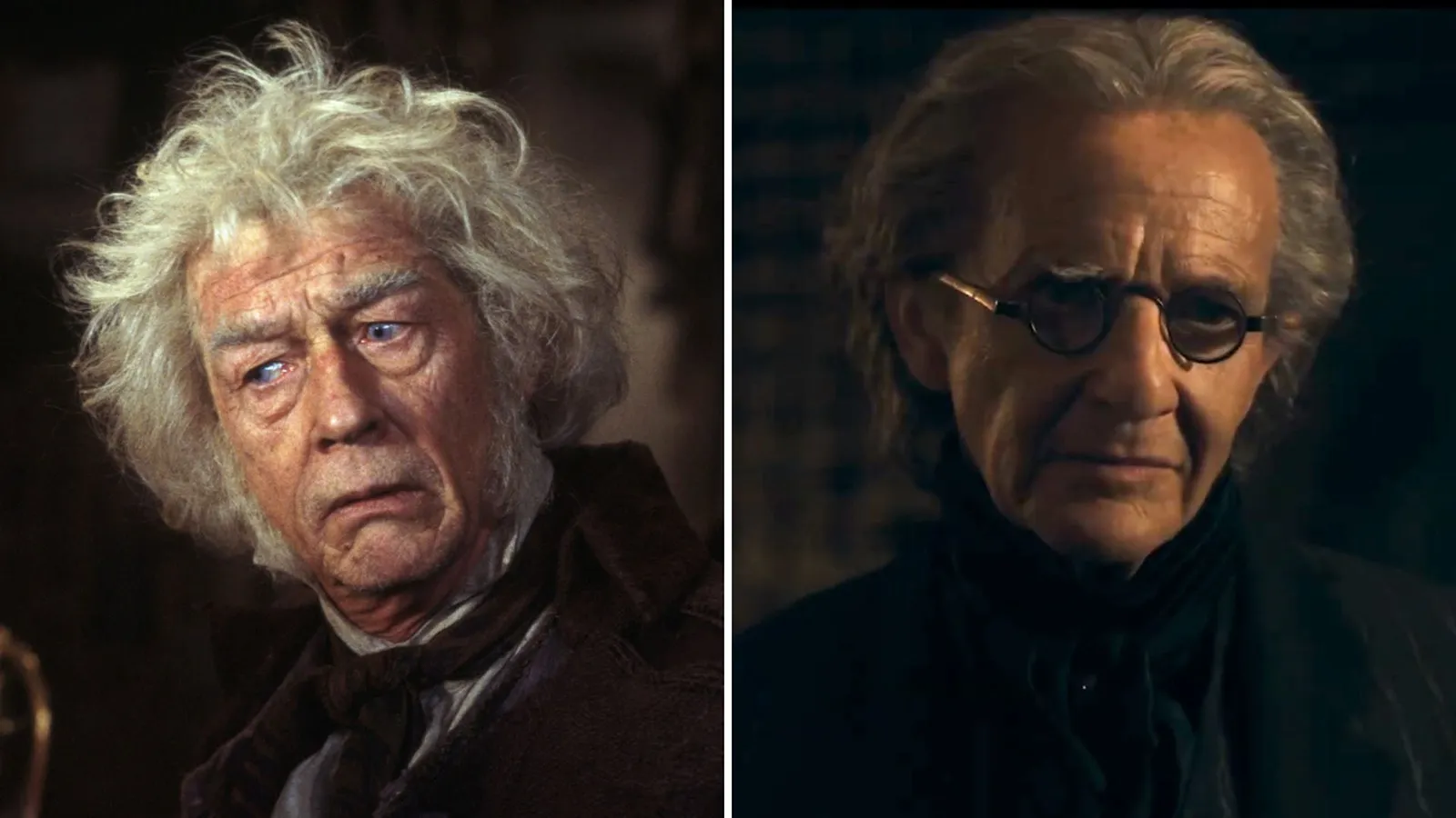 El nuevo reparto de la serie 'Harry Potter' frente a los actores de las películas: de Daniel Radcliffe a Dominic McLaughlin. 14 Mundocine - Harry Potter Reparto Peliculas Vs Serie Olivander