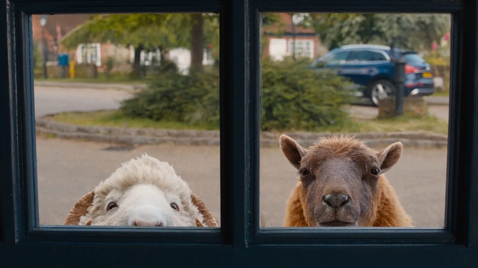 Mundocine - Los Ovejas Detectives 2026