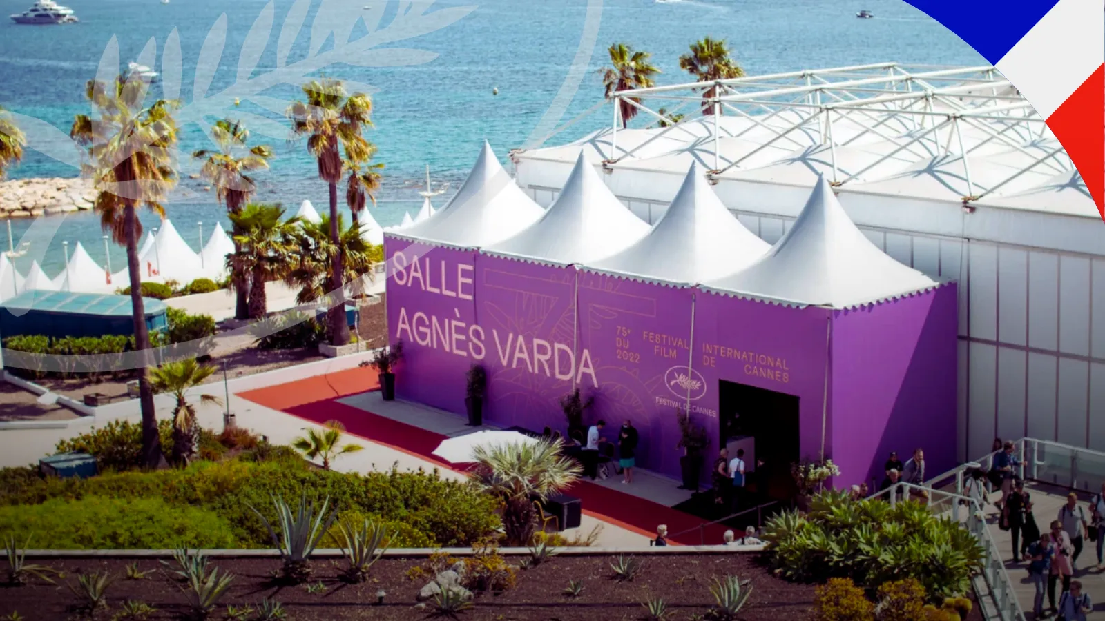 A las puertas de conocer la programación del Festival de Cannes 2026: ¿darán los Javis la campanada? 2 Mundocine - Ultima Quiniela Programacion Cannes 2026