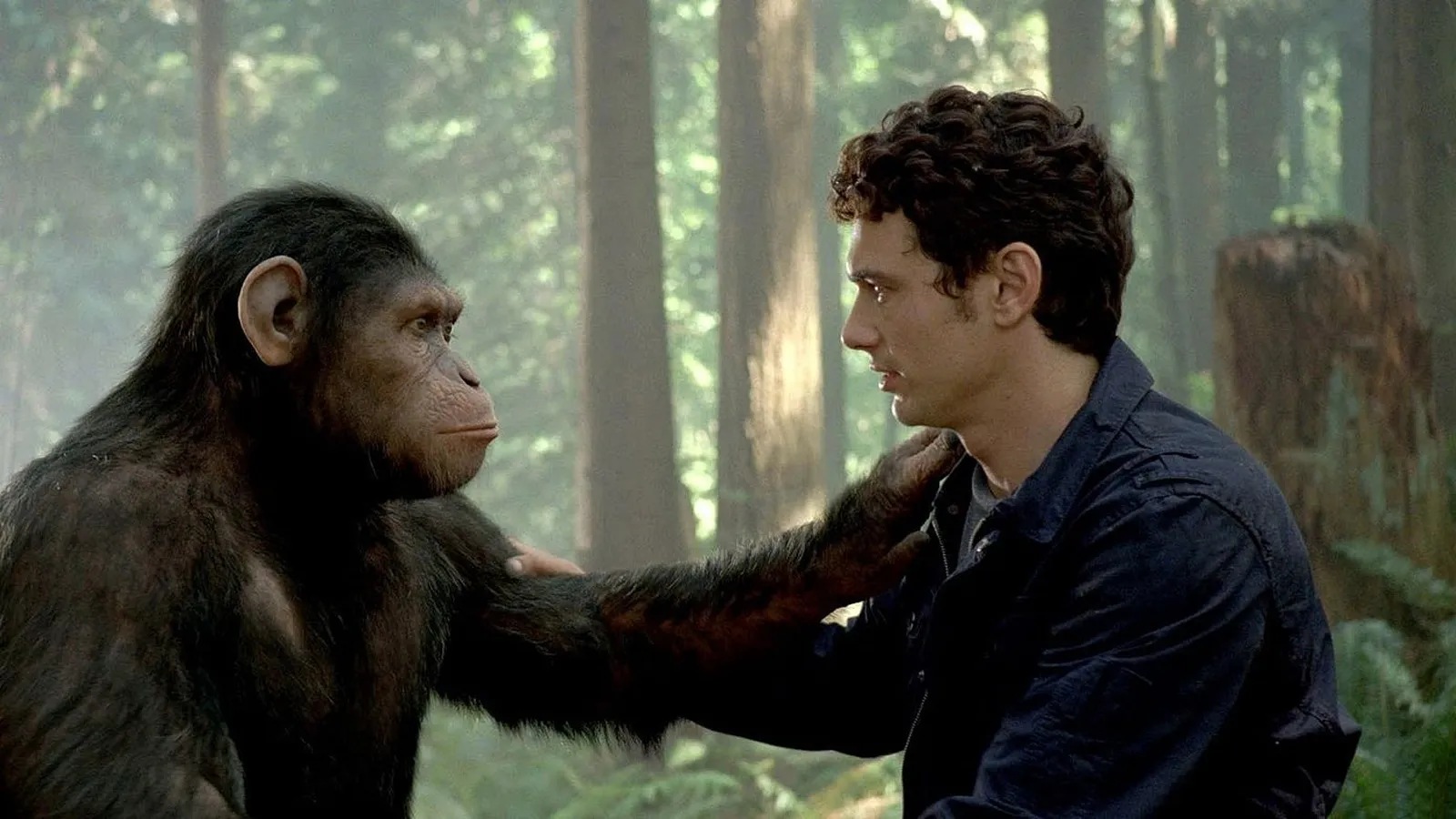 habra nueva pelicula el planeta de los simios saga matt shakman