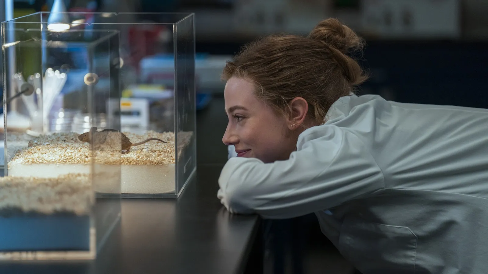la hipotesis del amor 2026 prime video