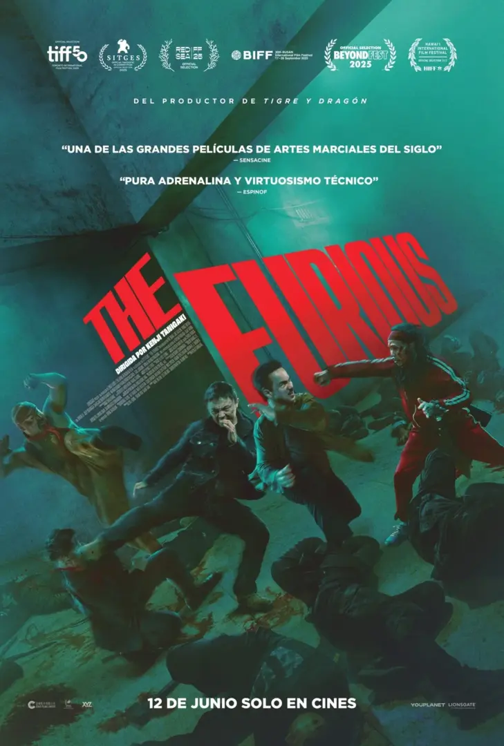the furious poster