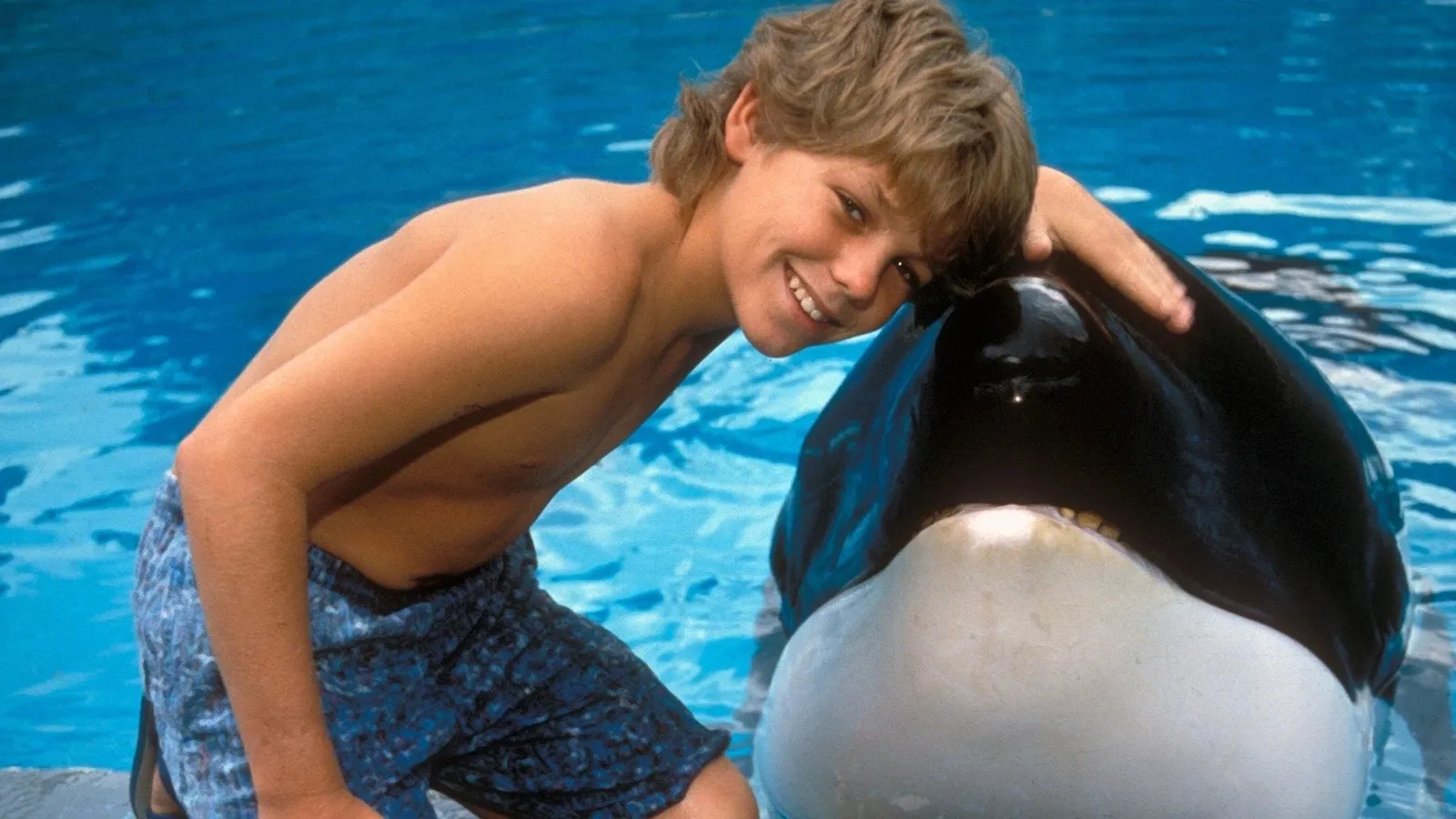 liberad a willy pelicula