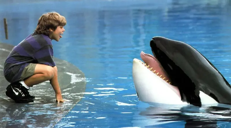 Un niño agachado interactúa con una orca que tiene la boca abierta en una escena de ¡Liberad a Willy!