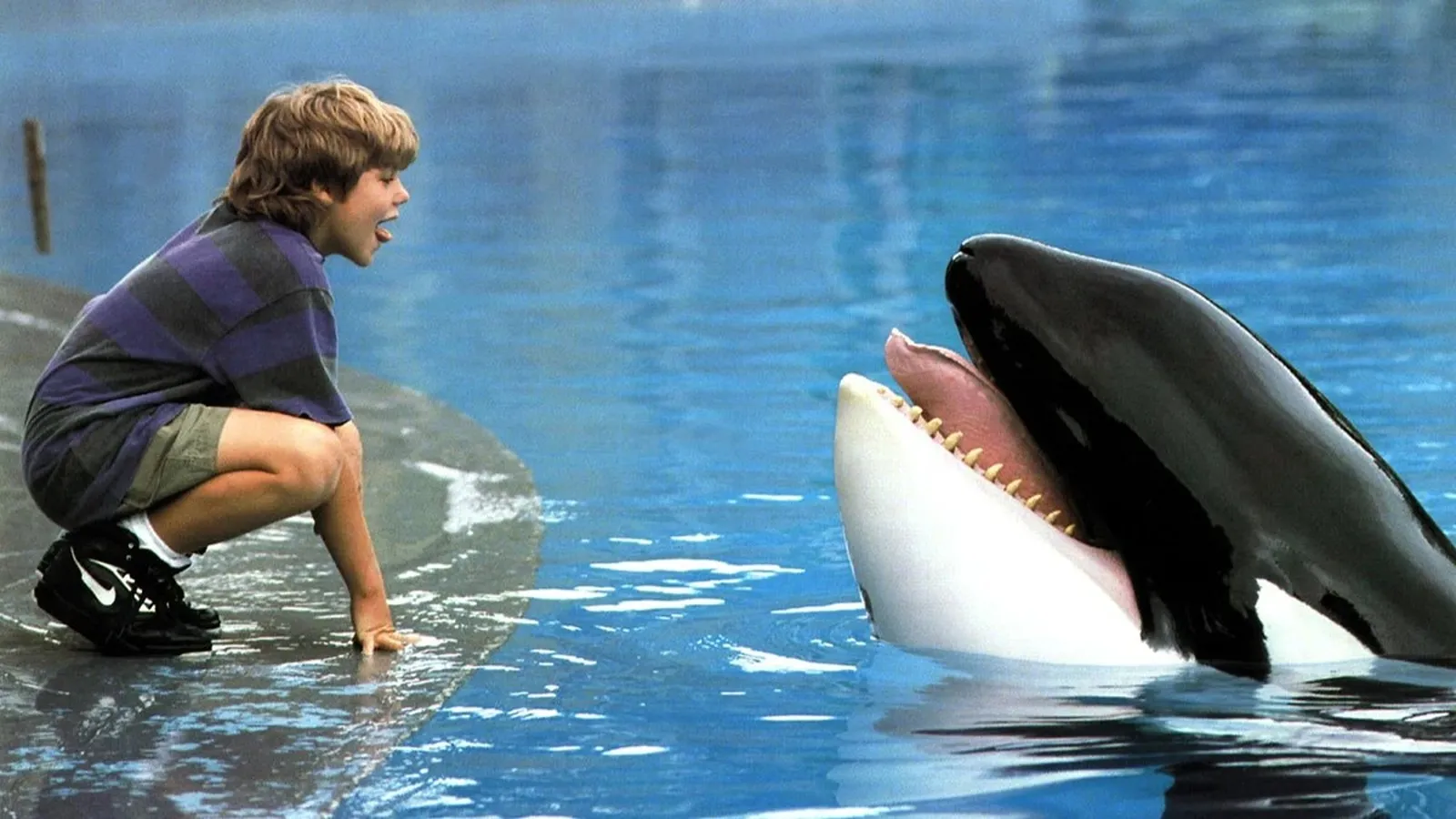 liberad a willy remake warner bros desarrollo