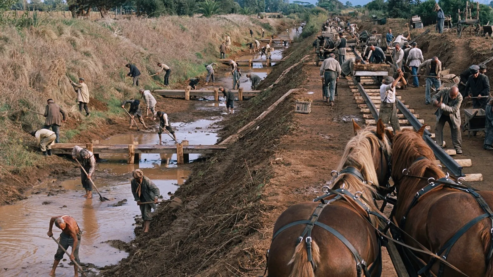 la apuesta de buffalo bill