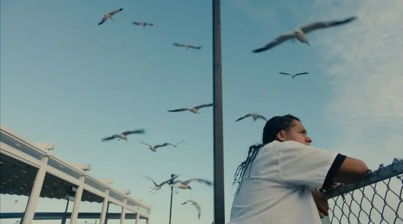 Fotograma de la película 'Mad Bills to Pay (or Destiny, dile que no soy malo)'. Un joven con trenzas se apoya en una cerca de alambre mirando a una bandada de gaviotas volando.