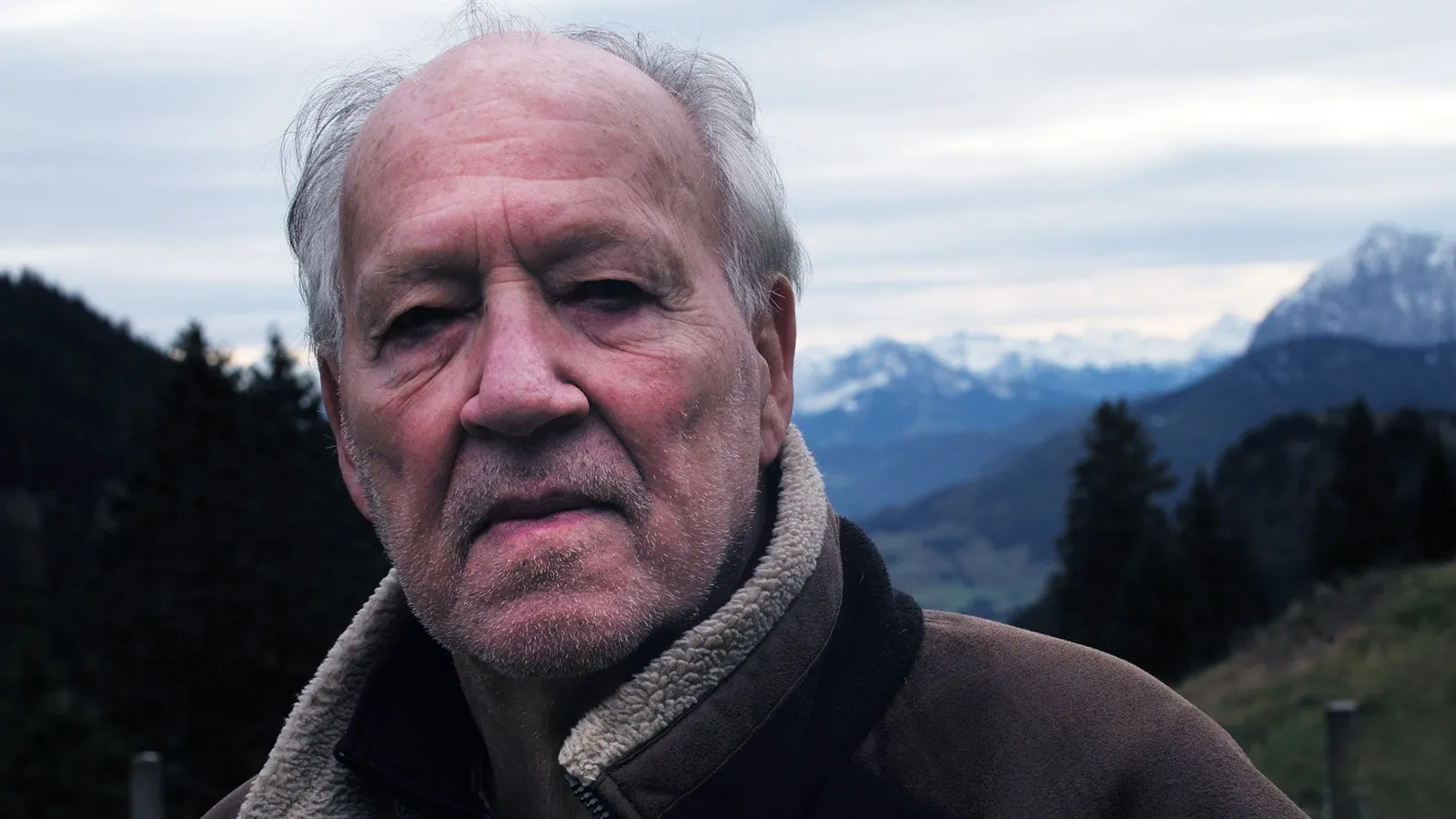 werner herzog
