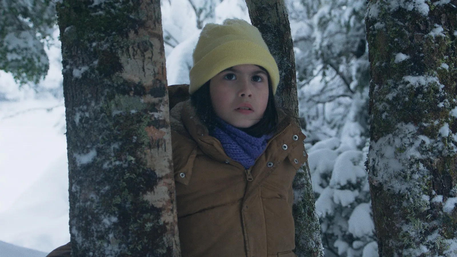 el deshielo 2026 critica