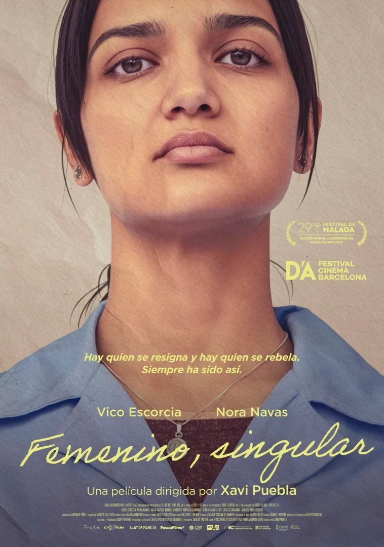femenino singular poster