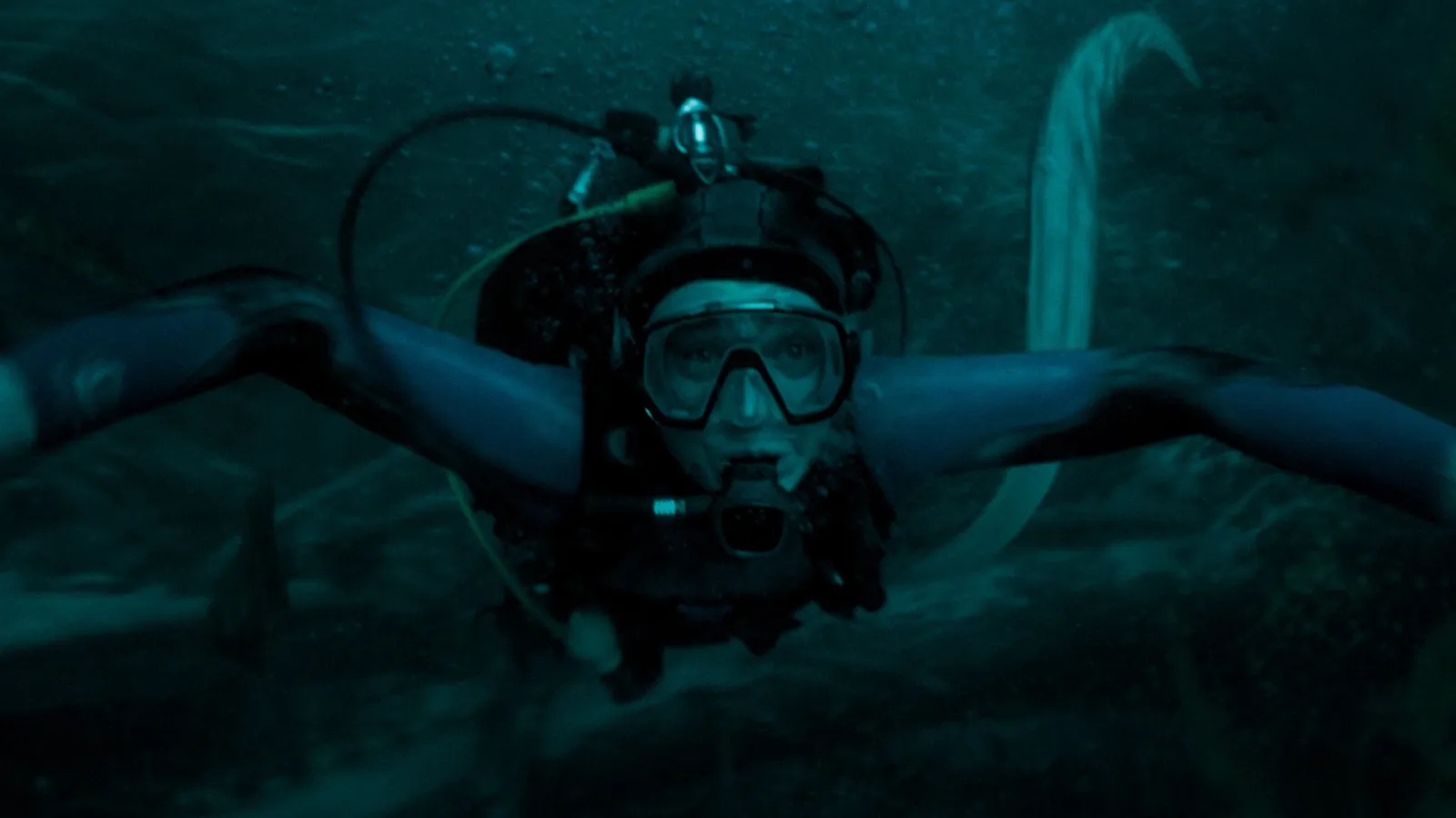 whalefall 2026 estreno