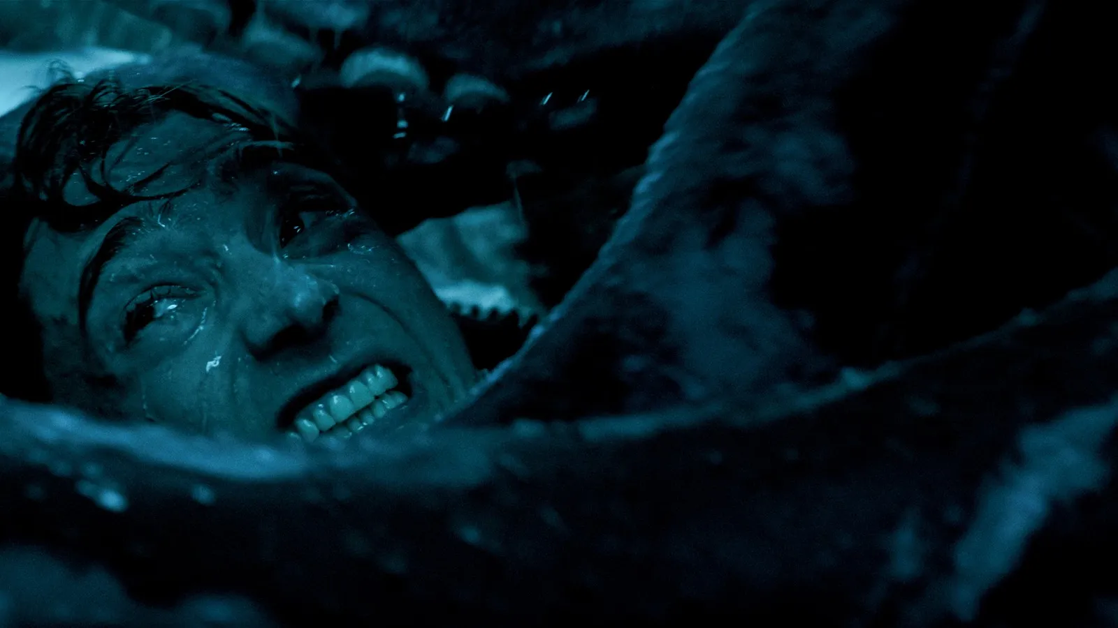 whalefall 2026 pelicula
