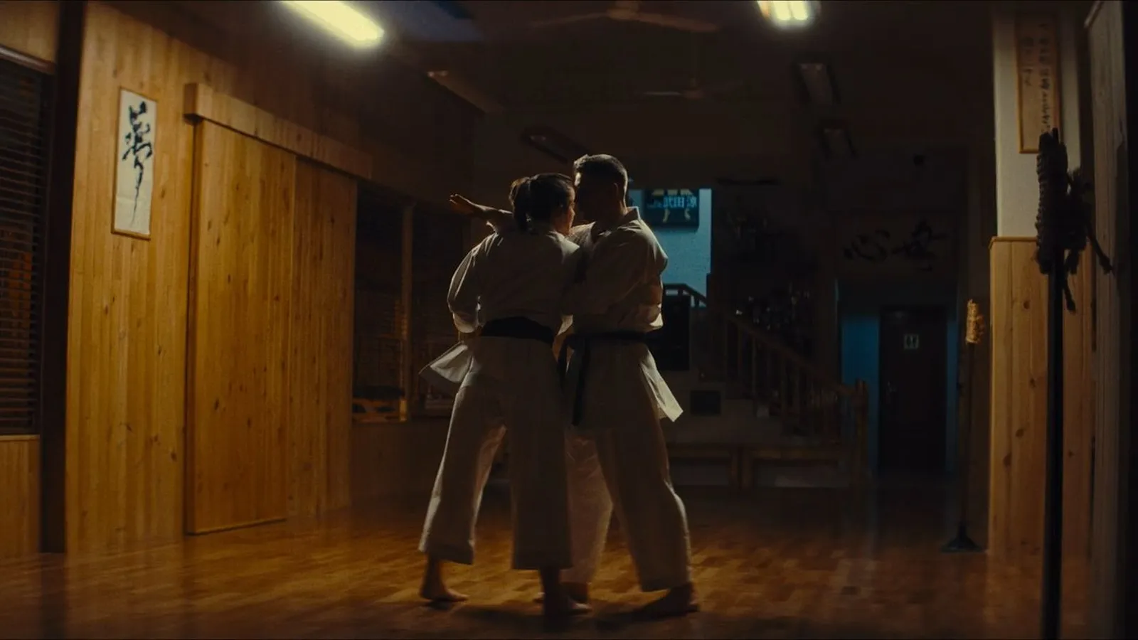 karateka 2026 peli